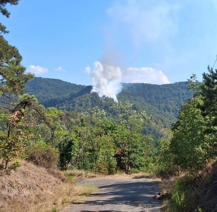 Ripreso l’incendio boschivo spento la scorsa notte a Mornese