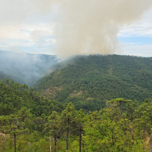 Incendi boschivi in Piemonte, Arpa monitora la qualità dell’aria: aumentano le polveri sottili