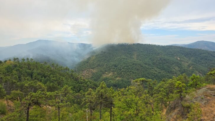 Incendio boschivo a Mornese: dopo settanta lanci di acqua dai canadair le fiamme restano estese