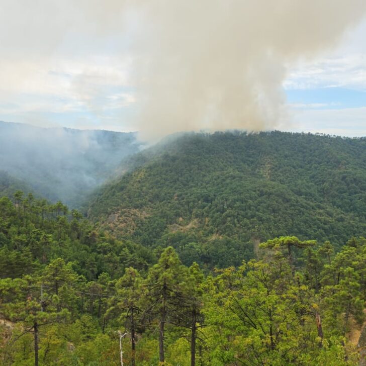 Incendi boschivi in Piemonte, Arpa monitora la qualità dell’aria: aumentano le polveri sottili