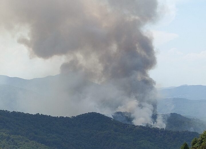 A Mornese l’incendio si sta avvicinando alla linea elettrica e ai filtri dell’acquedotto