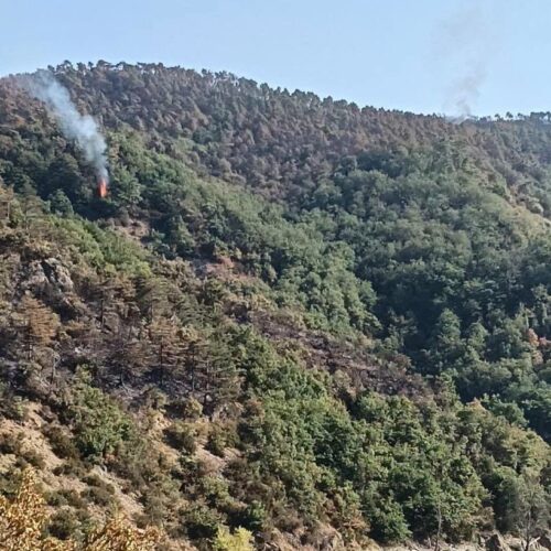 Incendio boschivo Mornese: ancora focolai sopra il Lago della Lavagnina. Interverrà l’elicottero