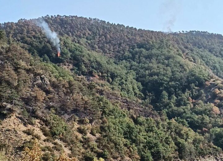 Incendio boschivo Mornese: ancora focolai sopra il Lago della Lavagnina. Interverrà l’elicottero