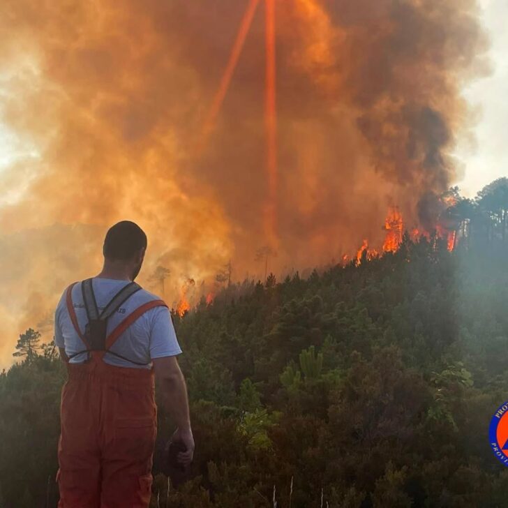 Bollettino Arpa: pericolo incendi boschivi elevato almeno fino a martedì