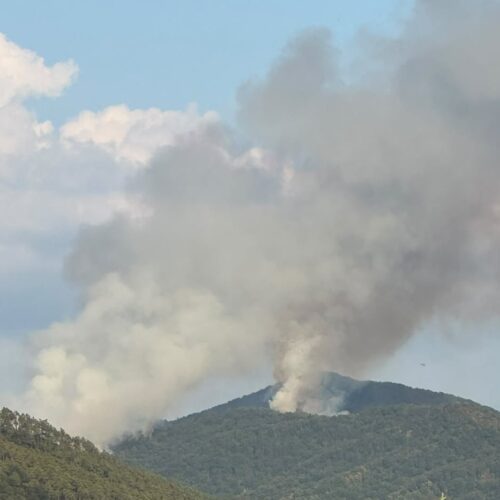 A Mornese due roghi in corso: sul posto anche un elicottero