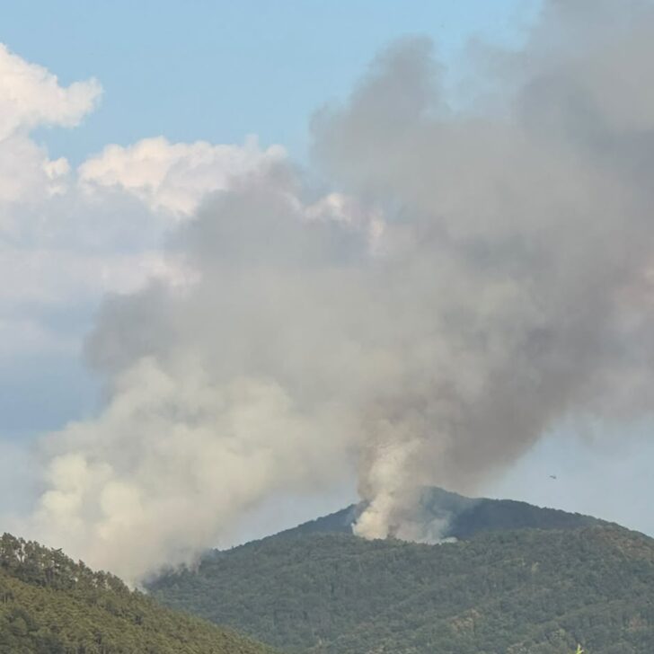 A Mornese due roghi in corso: sul posto anche un elicottero