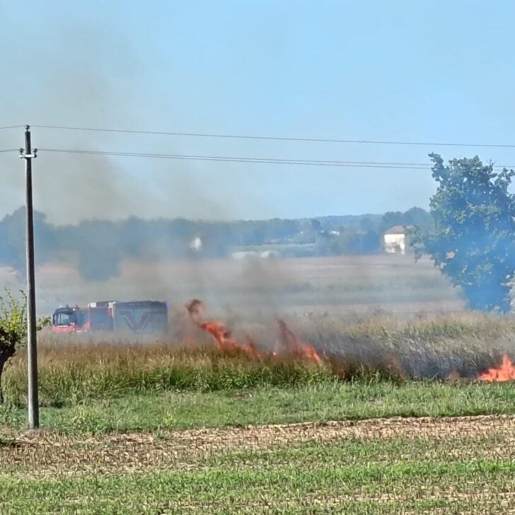 Incendio di sterpaglie a San Michele: sul posto i Vigili del Fuoco di Alessandria