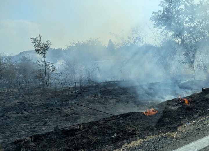 Incendio di sterpaglie vicino a Spinetta: l’intervento dei Vigili del Fuoco
