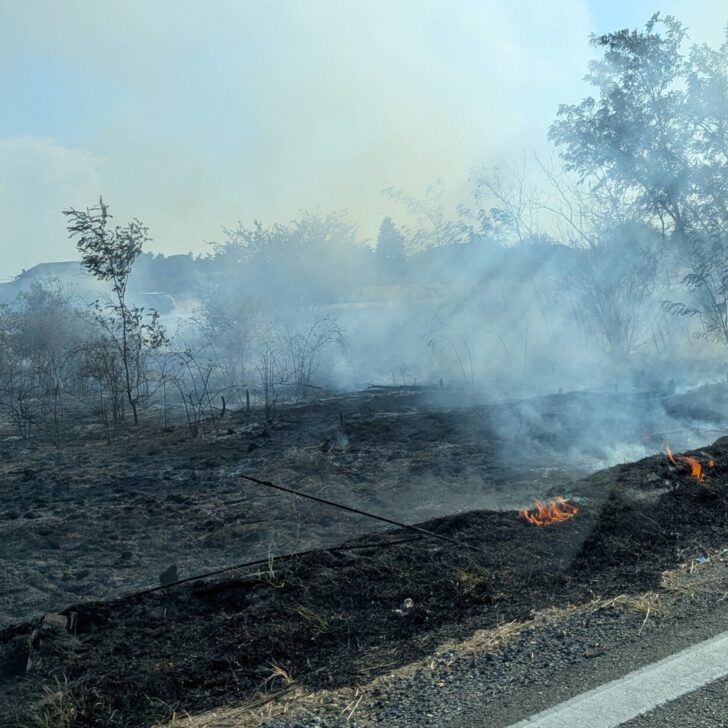 Incendio di sterpaglie vicino a Spinetta: l’intervento dei Vigili del Fuoco
