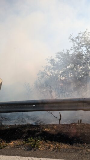 Incendio di sterpaglie vicino a Spinetta: l’intervento dei Vigili del Fuoco