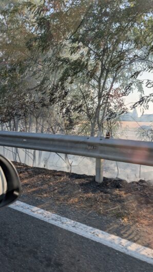 Incendio di sterpaglie vicino a Spinetta: l’intervento dei Vigili del Fuoco