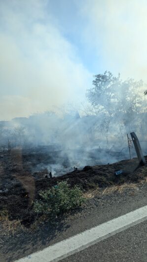 Incendio di sterpaglie vicino a Spinetta: l’intervento dei Vigili del Fuoco