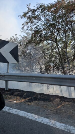 Incendio di sterpaglie vicino a Spinetta: l’intervento dei Vigili del Fuoco