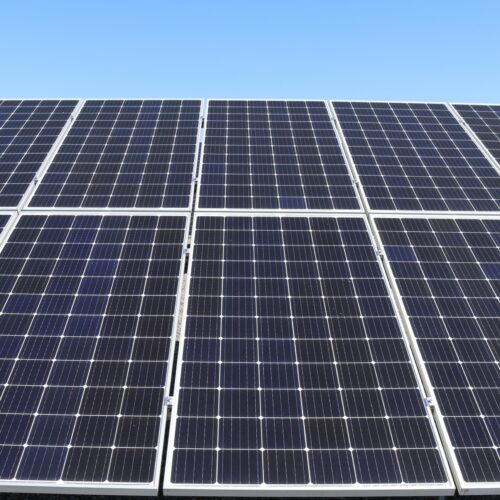 Impianto agrivoltaico al quartiere Cristo: il Comitato Salviamo le Cascine invoca lo stop dell’iter