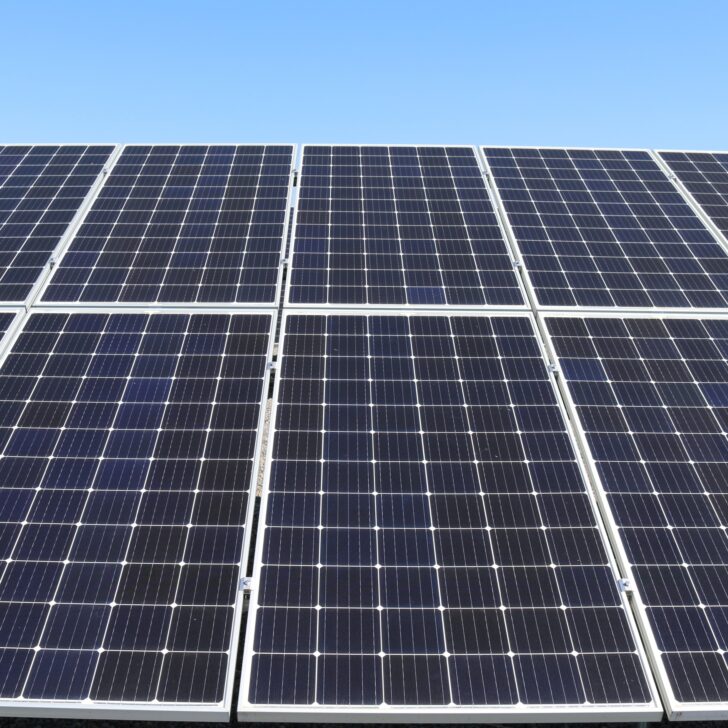 Impianto agrivoltaico al quartiere Cristo: il Comitato Salviamo le Cascine invoca lo stop dell’iter