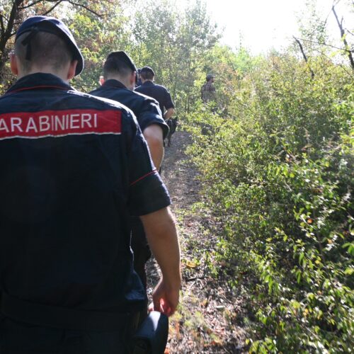Operazione dei Carabinieri contro lo spaccio: smantellati bivacchi lungo lo Scrivia tra Tortona e Carbonara