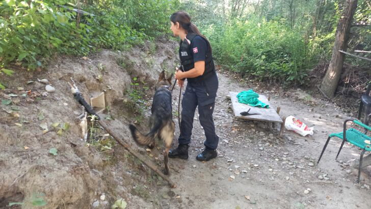 Operazione dei Carabinieri contro lo spaccio: smantellati bivacchi lungo lo Scrivia tra Tortona e Carbonara