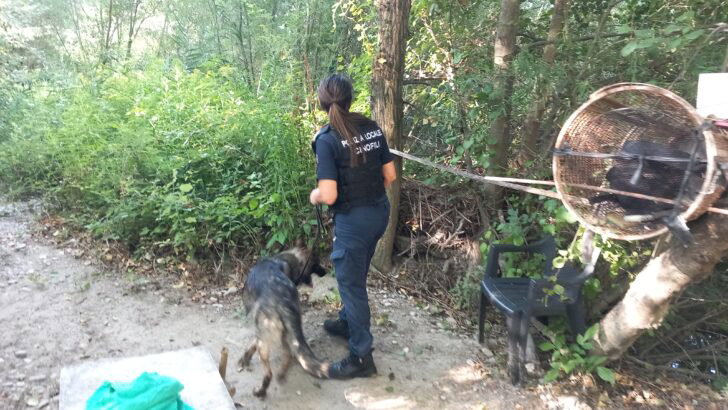 Operazione dei Carabinieri contro lo spaccio: smantellati bivacchi lungo lo Scrivia tra Tortona e Carbonara