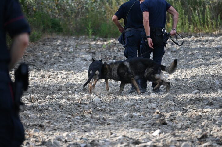 Operazione dei Carabinieri contro lo spaccio: smantellati bivacchi lungo lo Scrivia tra Tortona e Carbonara