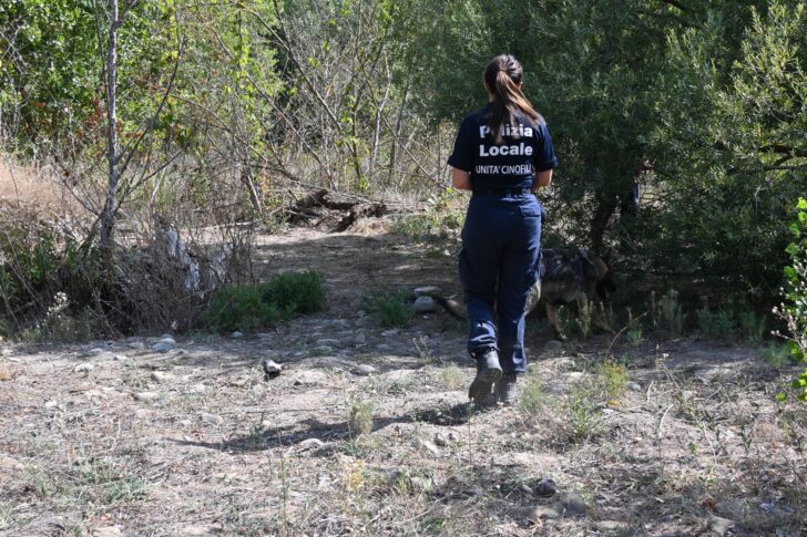 Operazione dei Carabinieri contro lo spaccio: smantellati bivacchi lungo lo Scrivia tra Tortona e Carbonara