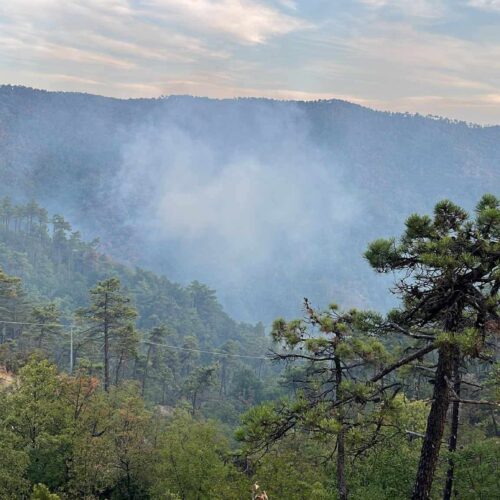 Mornese: la pineta torna a bruciare