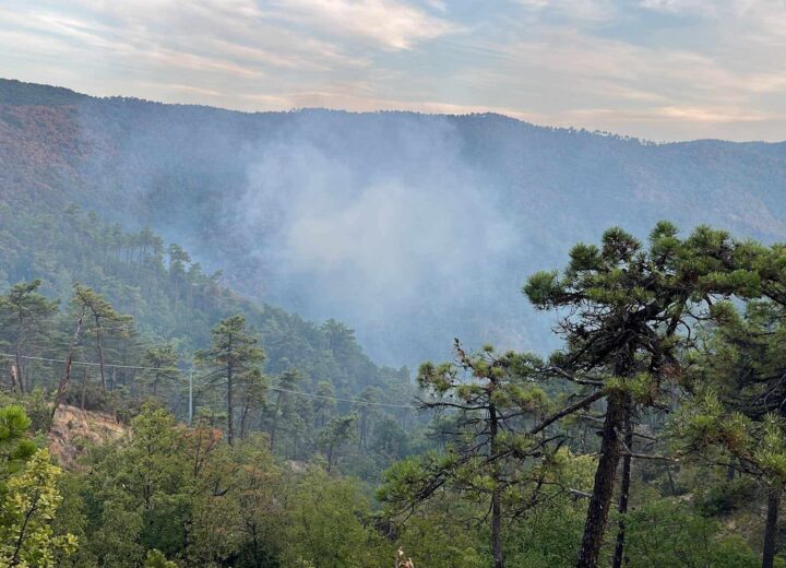 Mornese: la pineta torna a bruciare