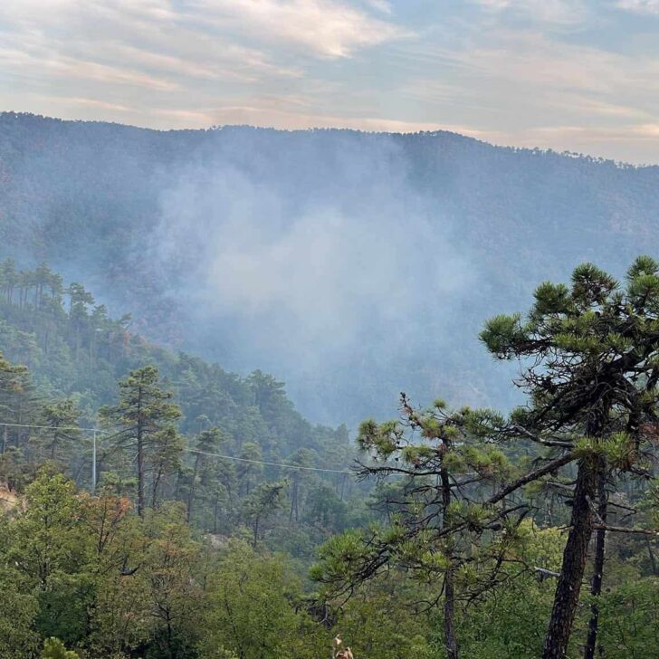 Mornese: la pineta torna a bruciare