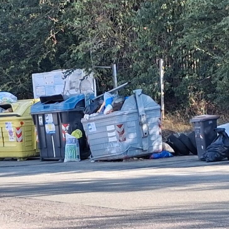 Abbandono rifiuti ad Alessandria: grazie alle fototrappole rilevate altre dieci irregolarità