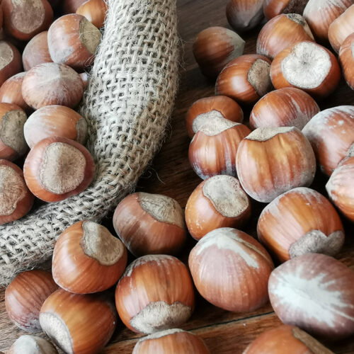 Fiera della nocciola a Cortemilia: il programma fino al 6 settembre