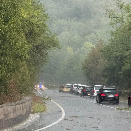 Violento temporale a Spigno: alberi su strada