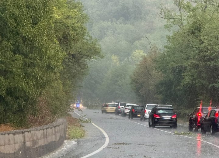 Violento temporale a Spigno: alberi su strada