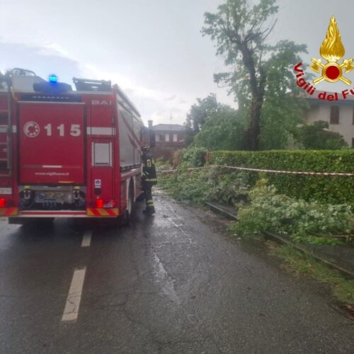 Alberi caduti, tegole pericolanti e cantine allagate in provincia: circa trenta interventi dei Vigili del Fuoco