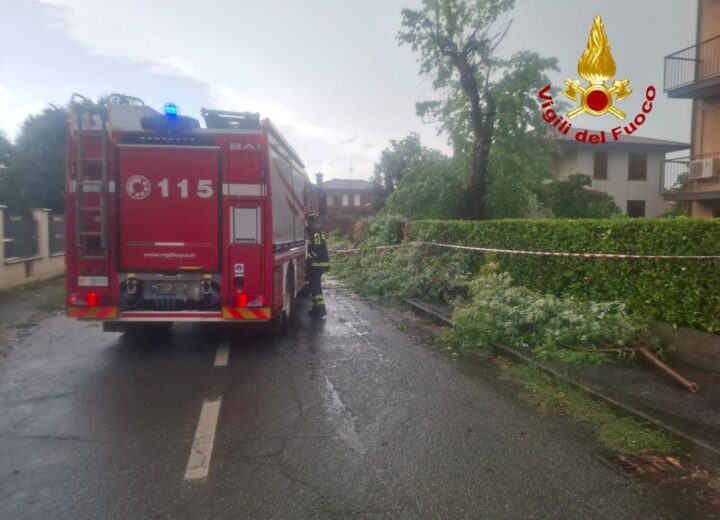 Alberi caduti, tegole pericolanti e cantine allagate in provincia: circa trenta interventi dei Vigili del Fuoco
