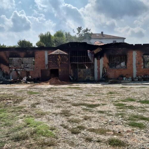 Incendio in una falegnameria a Pontestura: ingenti danni, Vigili del Fuoco al lavoro per ore