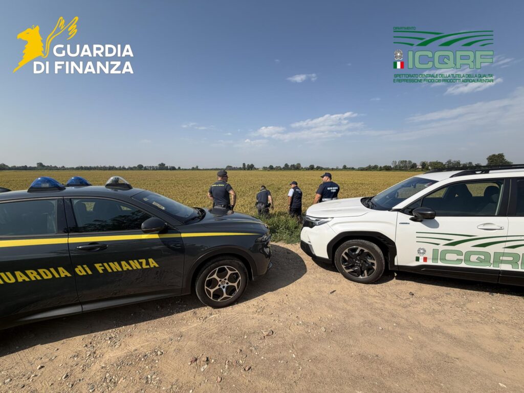 Truffa riso Pavia Finanza
