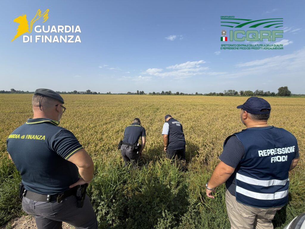 Truffa riso Pavia Finanza