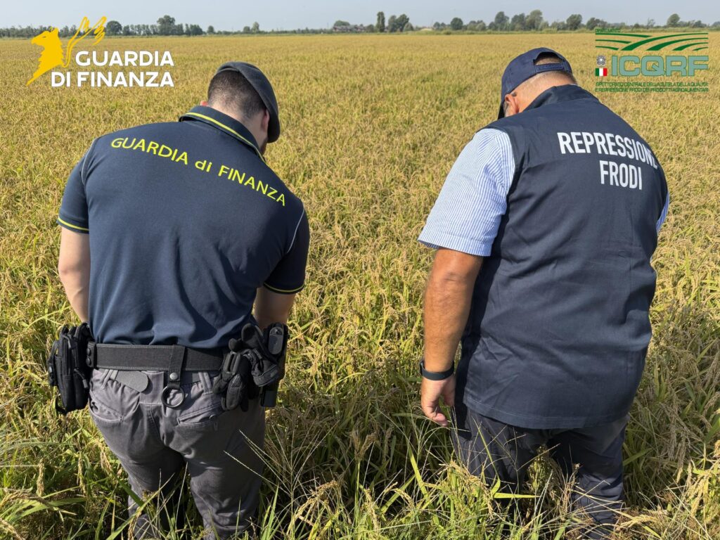 Truffa riso Pavia Finanza