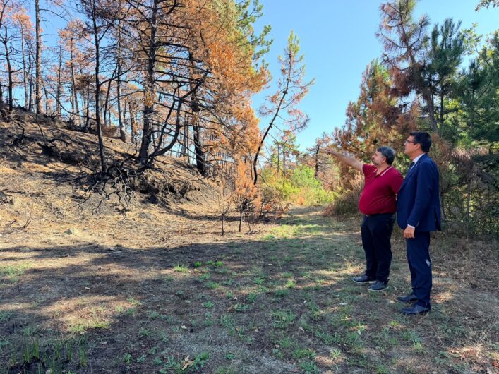 Via all’anno scolastico: l’assessore regionale Bussalino a Mornese, il Comune colpito dagli incendi boschivi