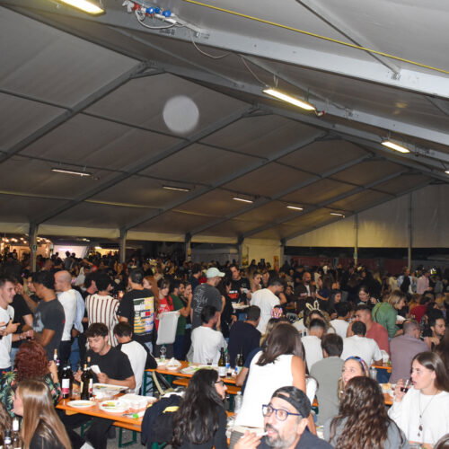 Festa del Vino a Casale: dalle 18.30 collegamenti live su Radio Gold e sui nostri social