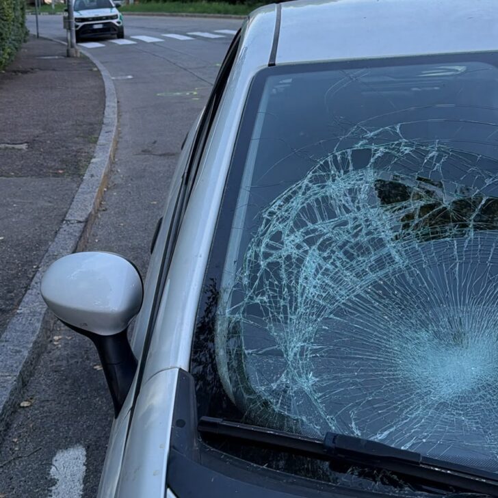 Investiti pedone e cane in piazza Basile. La donna è in gravi condizioni