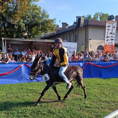 Borgomanero, Palio da “giallo” a Villa Marazza: ricorso e classifica congelata