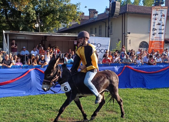 Borgomanero, Palio da “giallo” a Villa Marazza: ricorso e classifica congelata