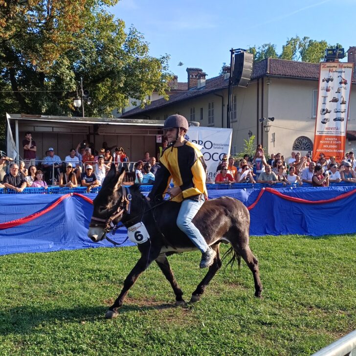 Borgomanero, Palio da “giallo” a Villa Marazza: ricorso e classifica congelata