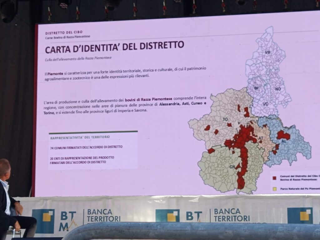 Carmagnola distretto