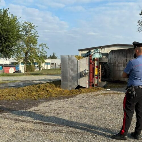 Cade dal trattore mentre trasporta uva: ferito un 35enne
