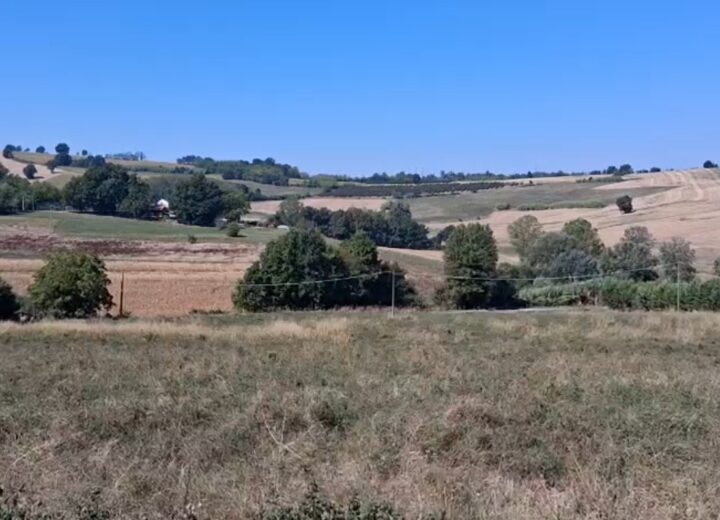 Un impianto agrivoltaico grande 24 campi da calcio a Montecastello: il Comune si oppone