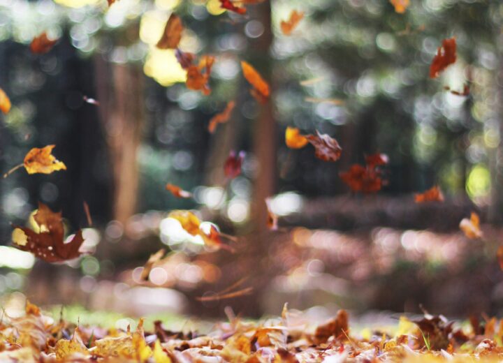Autunno in Piemonte, piogge in aumento ma il caldo non molla. Che ottobre ci aspetta secondo Arpa