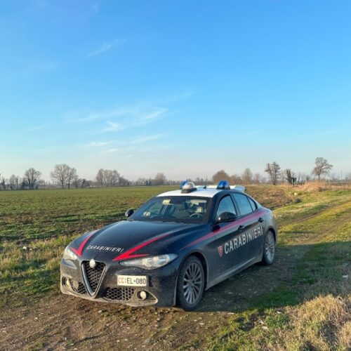 Controlli antidroga nelle campagne pavesi: due giovani segnalati e un 54enne denunciato