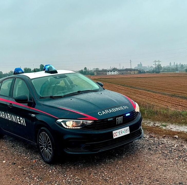 Ruba rame in un’azienda a Crescentino, poi fugge nella roggia e aggredisce i Carabinieri. Arrestato