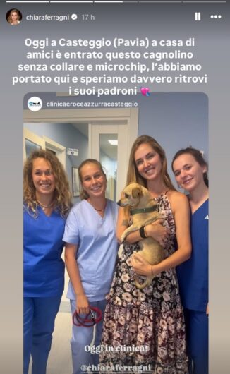 Cagnolino smarrito a Casteggio, Chiara Ferragni mobilita i social per ritrovare i proprietari